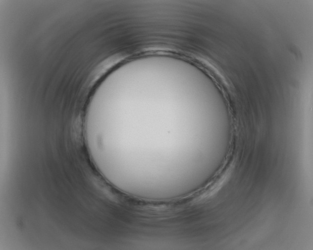 X0000114411121200910161025