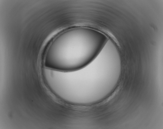 X0000114411122200910161025