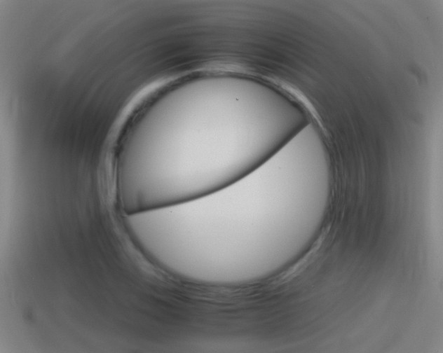 X0000114411123200910161025