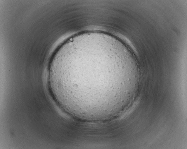 X0000114411125200910161025