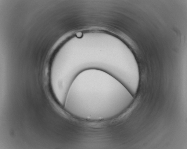 X0000114411126200910161025
