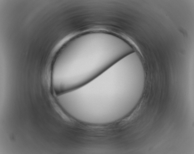 X0000114411127200910161025