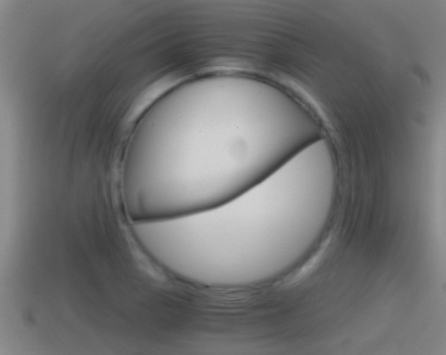 X0000114411129200910161026