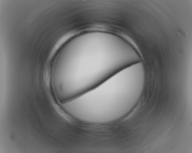X0000114411131200910161026