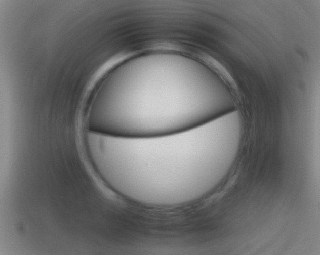 X0000114411133200910161026