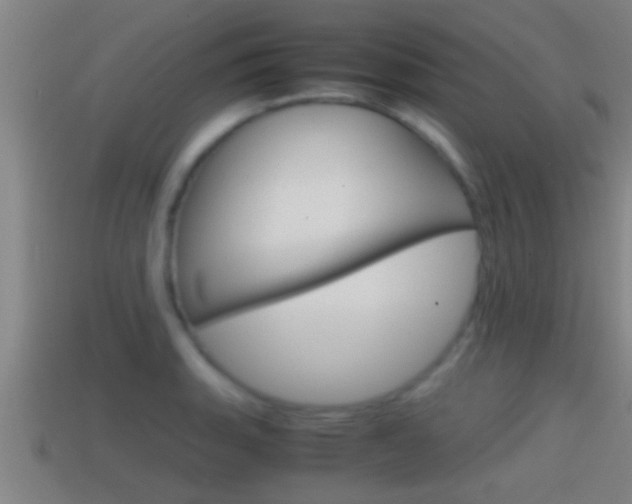 X0000114411135200910161026