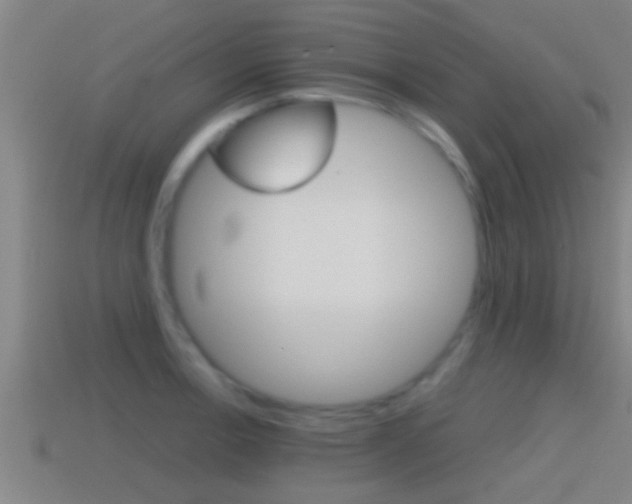X0000114411138200910161026