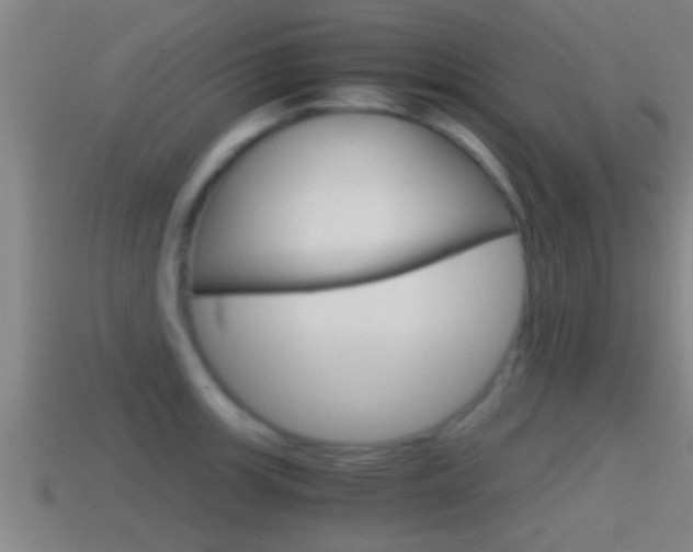 X0000114411139200910161026