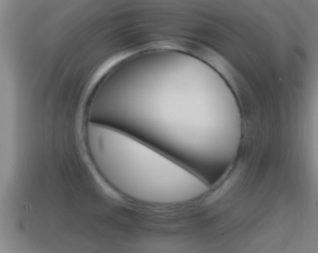 X0000114411141200910161026