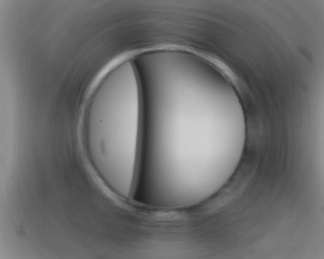 X0000114411142200910161026