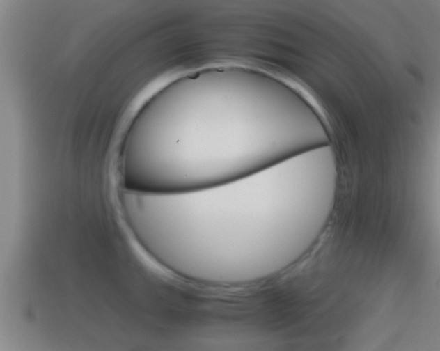X0000114411143200910161026