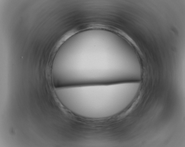 X0000114411145200910161026