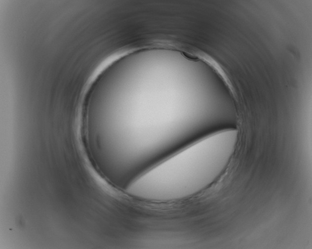 X0000114411147200910161026