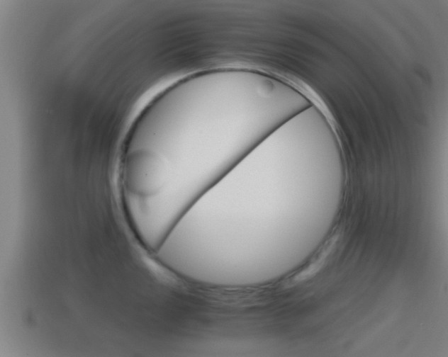 X0000114411149200910161026