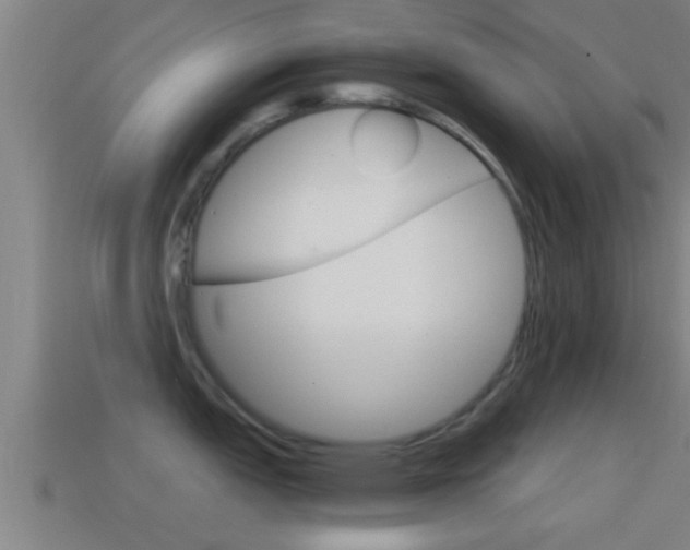 X0000114411151200910161026