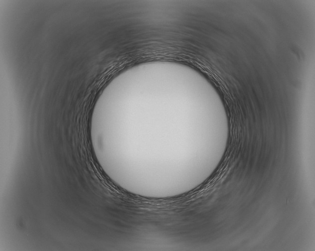 X0000114411153200910161025