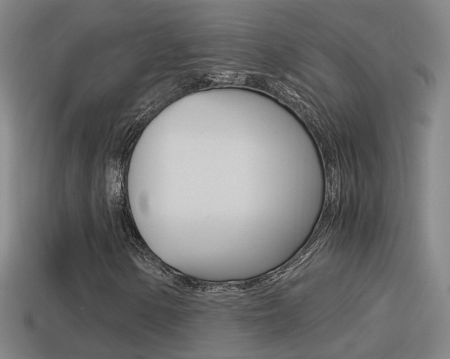 X0000114411154200910161025