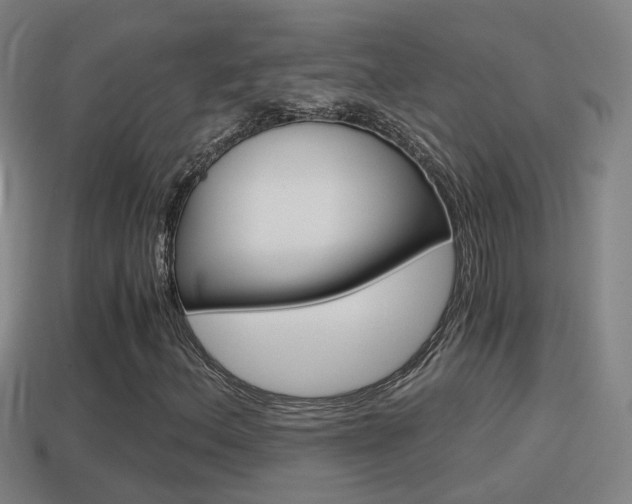 X0000114411156200910161025