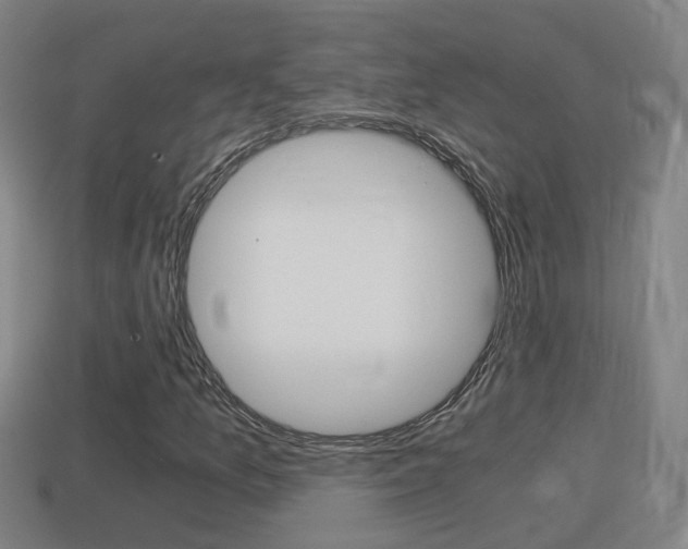 X0000114411157200910161025