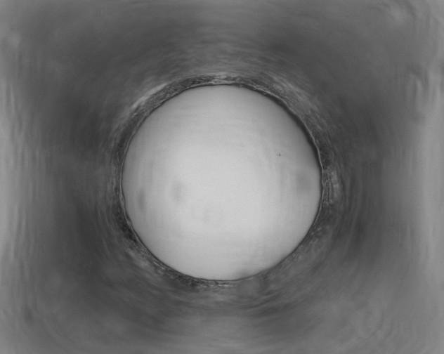 X0000114411158200910161025