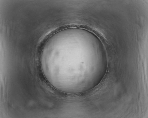 X0000114411159200910161025