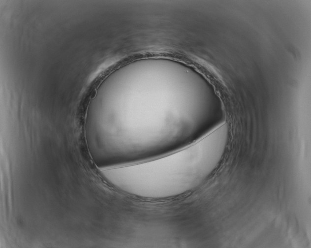 X0000114411160200910161025