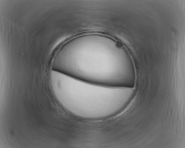 X0000114411163200910161025