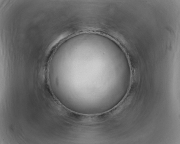 X0000114411165200910161025