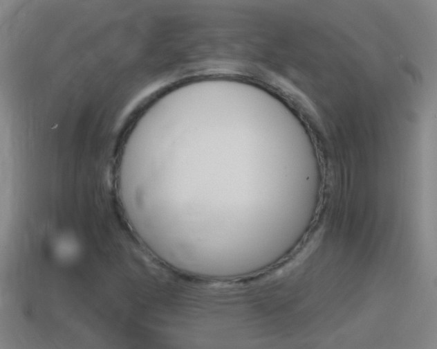 X0000114411166200910161025