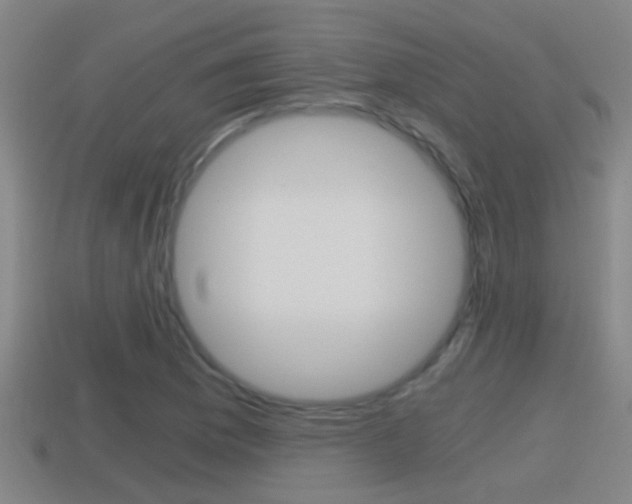 X0000114411169200910161025