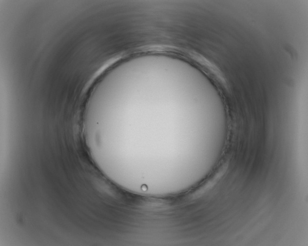 X0000114411170200910161025