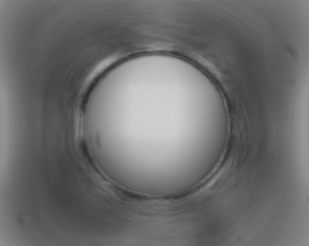 X0000114411171200910161025