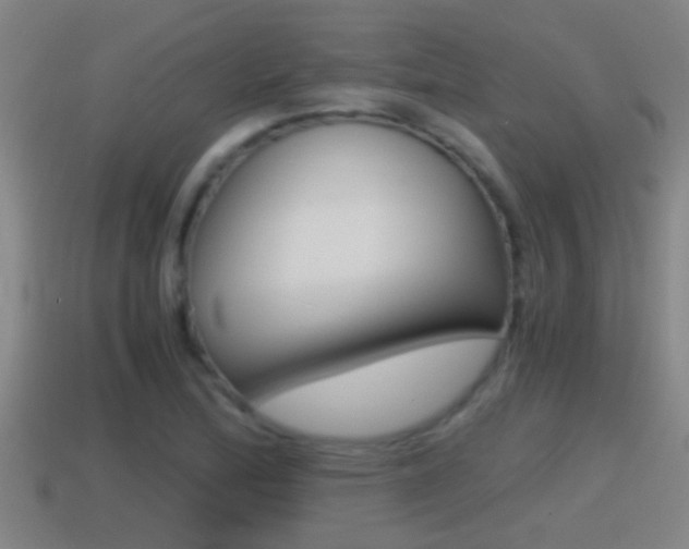 X0000114411172200910161025