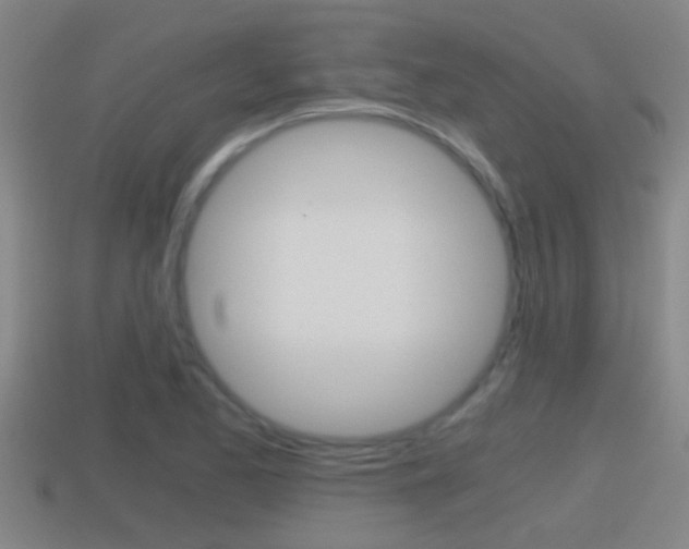X0000114411173200910161025