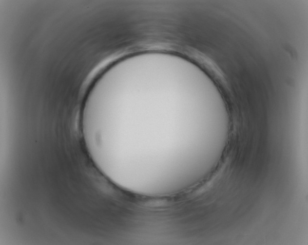 X0000114411174200910161025