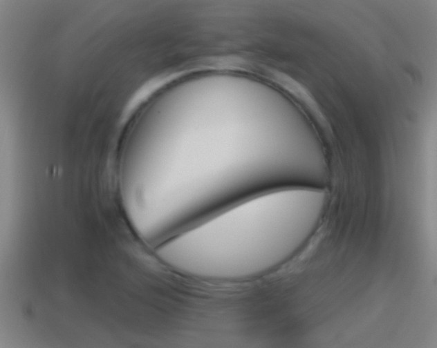X0000114411176200910161025
