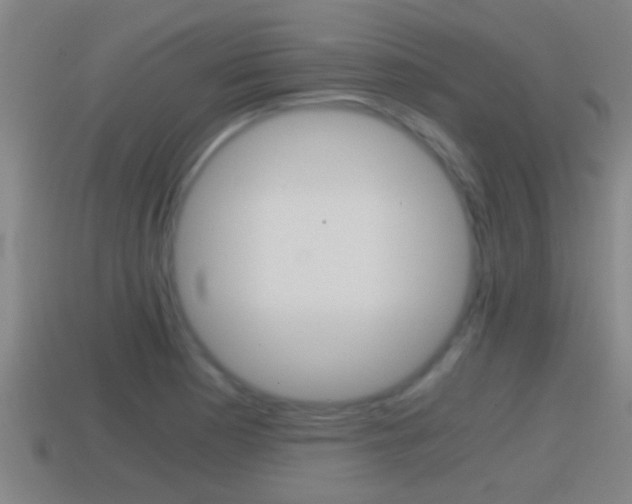 X0000114411177200910161025