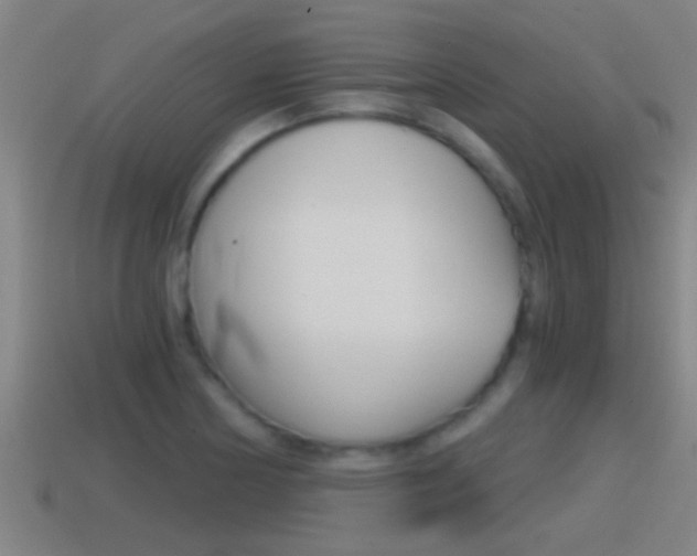 X0000114411178200910161025