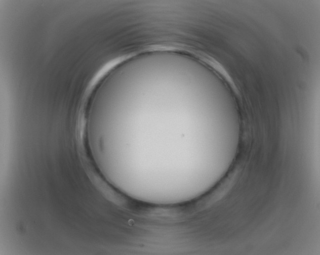 X0000114411179200910161025
