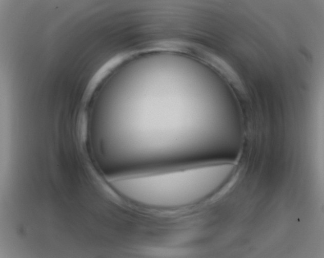 X0000114411180200910161025