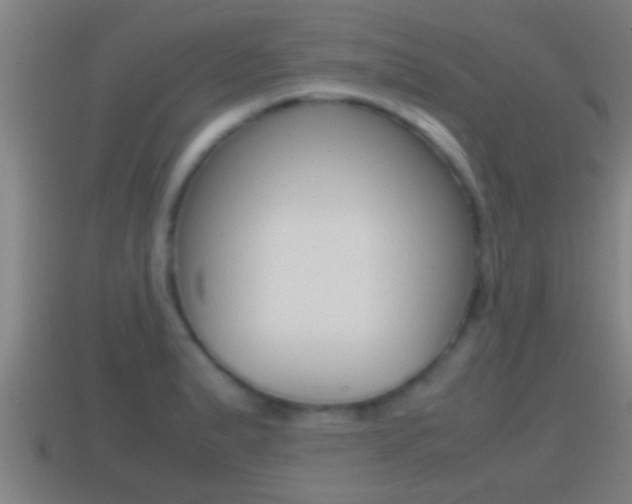 X0000114411183200910161025