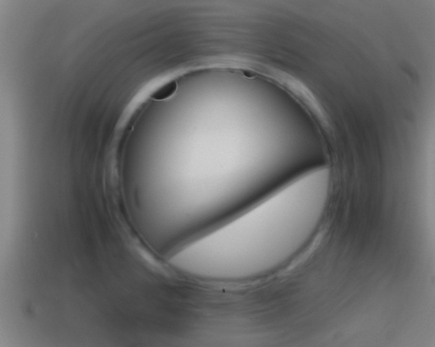 X0000114411184200910161025