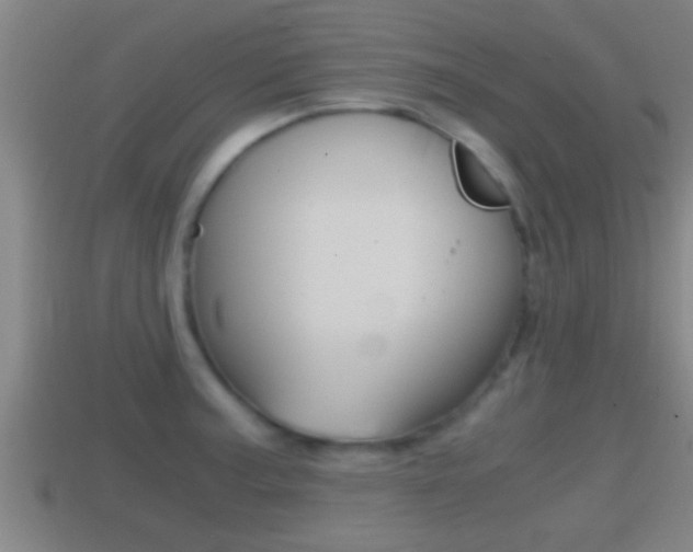 X0000114411187200910161025