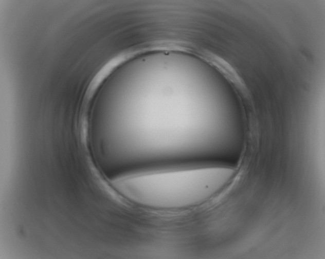 X0000114411188200910161025