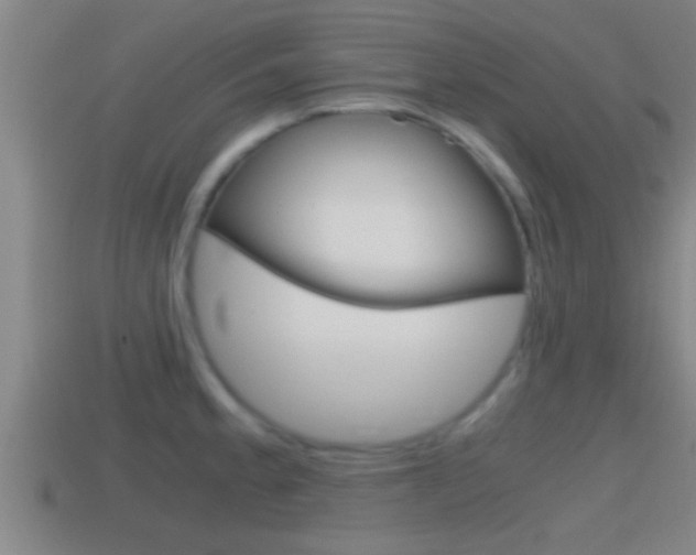 X0000114411189200910161025