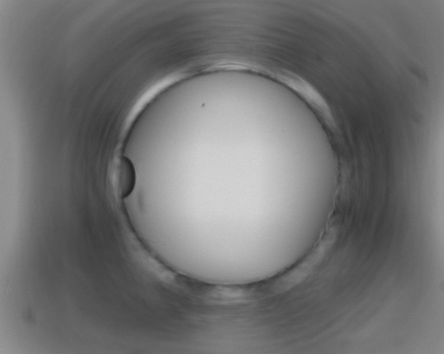 X0000114411190200910161025