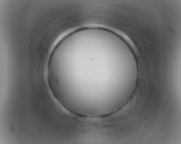 X0000114411191200910161025