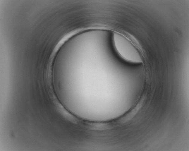 X0000114411192200910161025