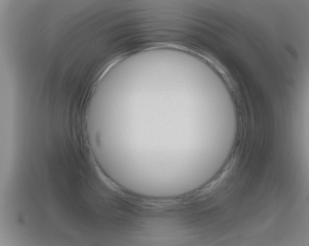 X0000114411193200910161024
