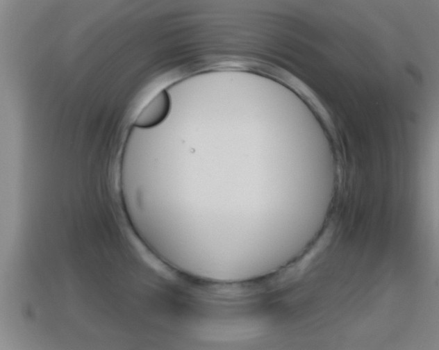 X0000114411194200910161024